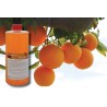 Mastercleaner Orangenreiniger Konzentrat 2*1Liter